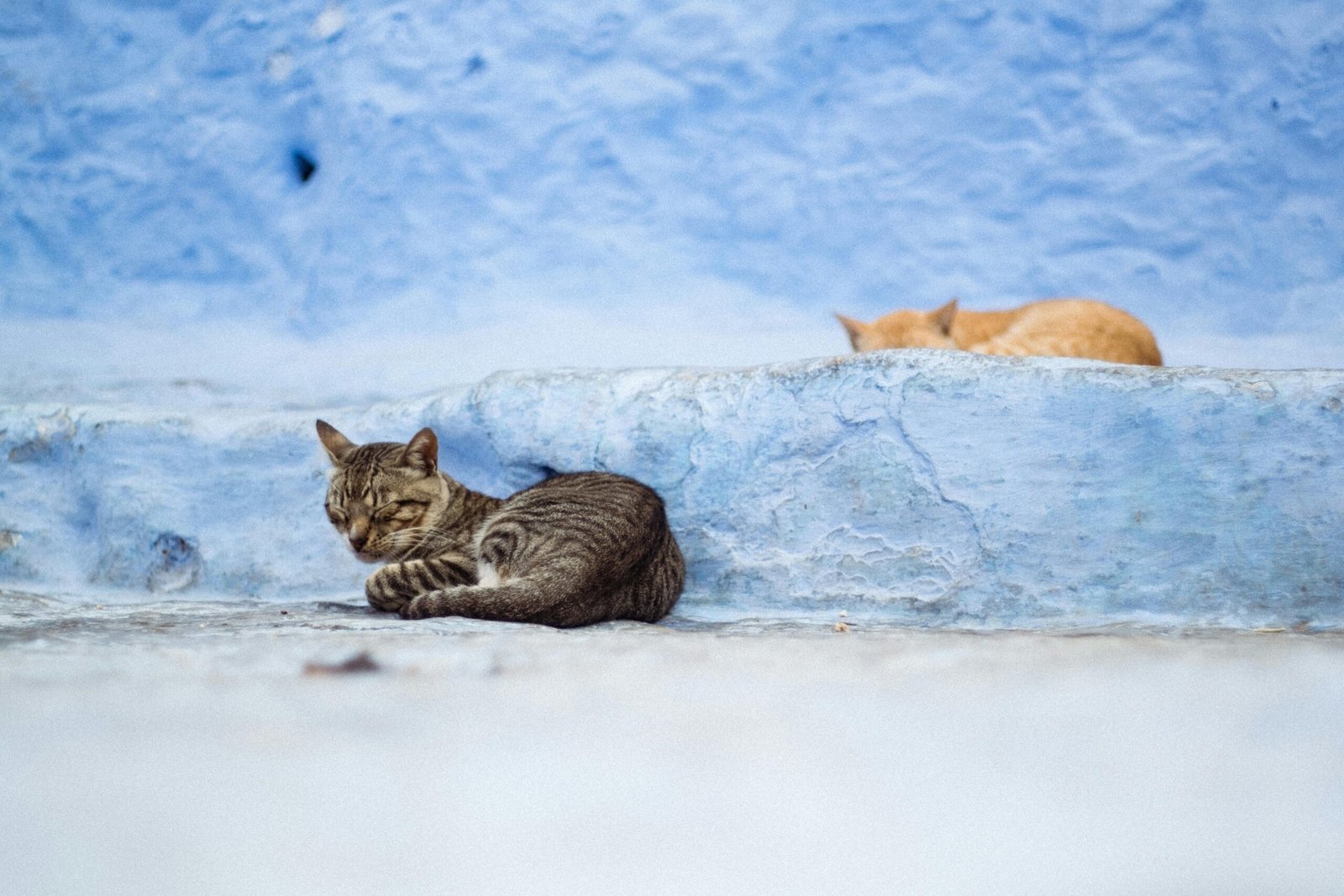 Volunteering in Morocco